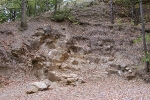 Steinbruch im Rätsandstein an der Schlossleite