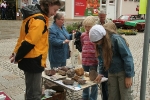 GeoPark-Stand zum Naturpark- und Stadtfest in Ruhla im Juni 2008